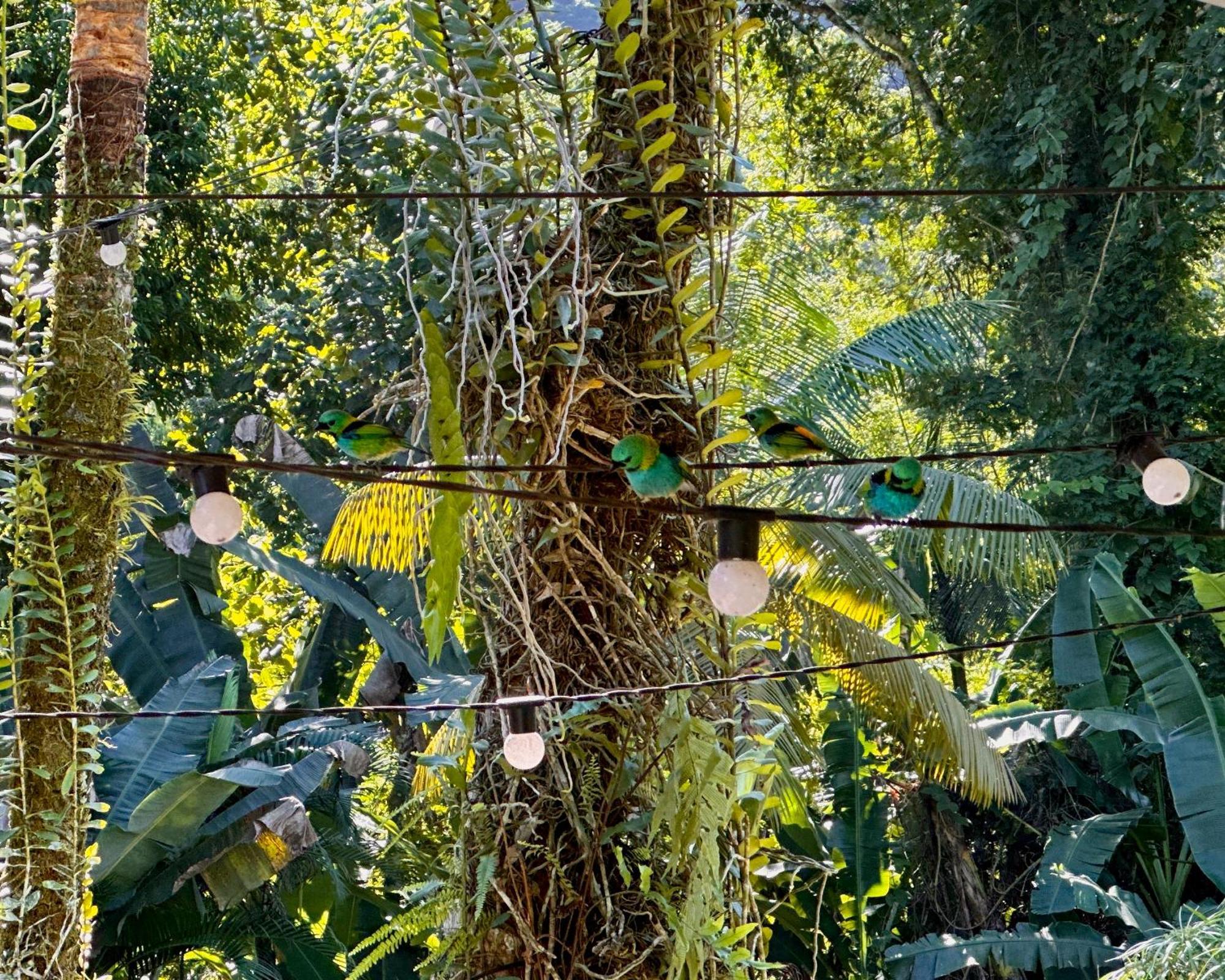 パラチ Casa Parkヴィラ エクステリア 写真