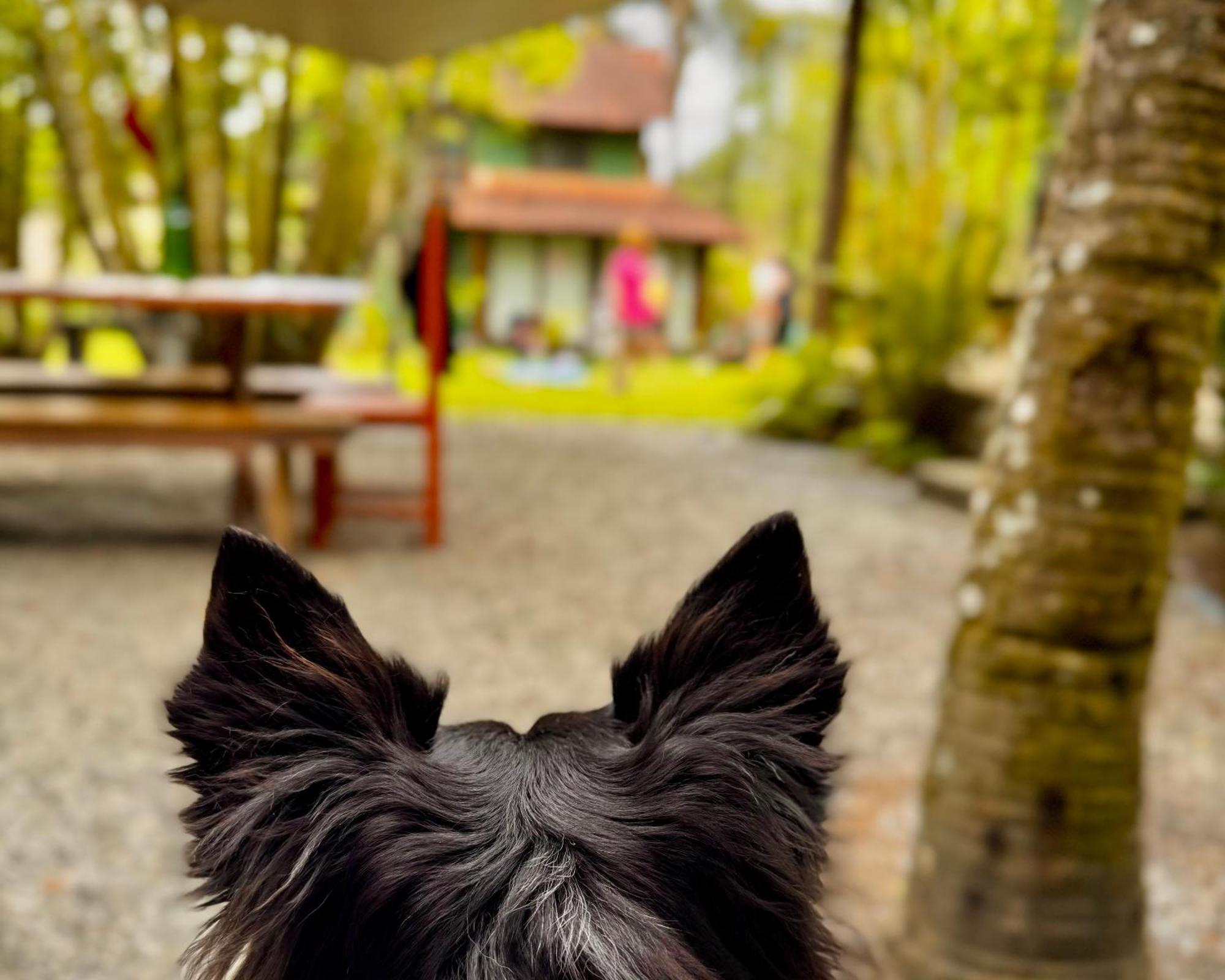 パラチ Casa Parkヴィラ エクステリア 写真