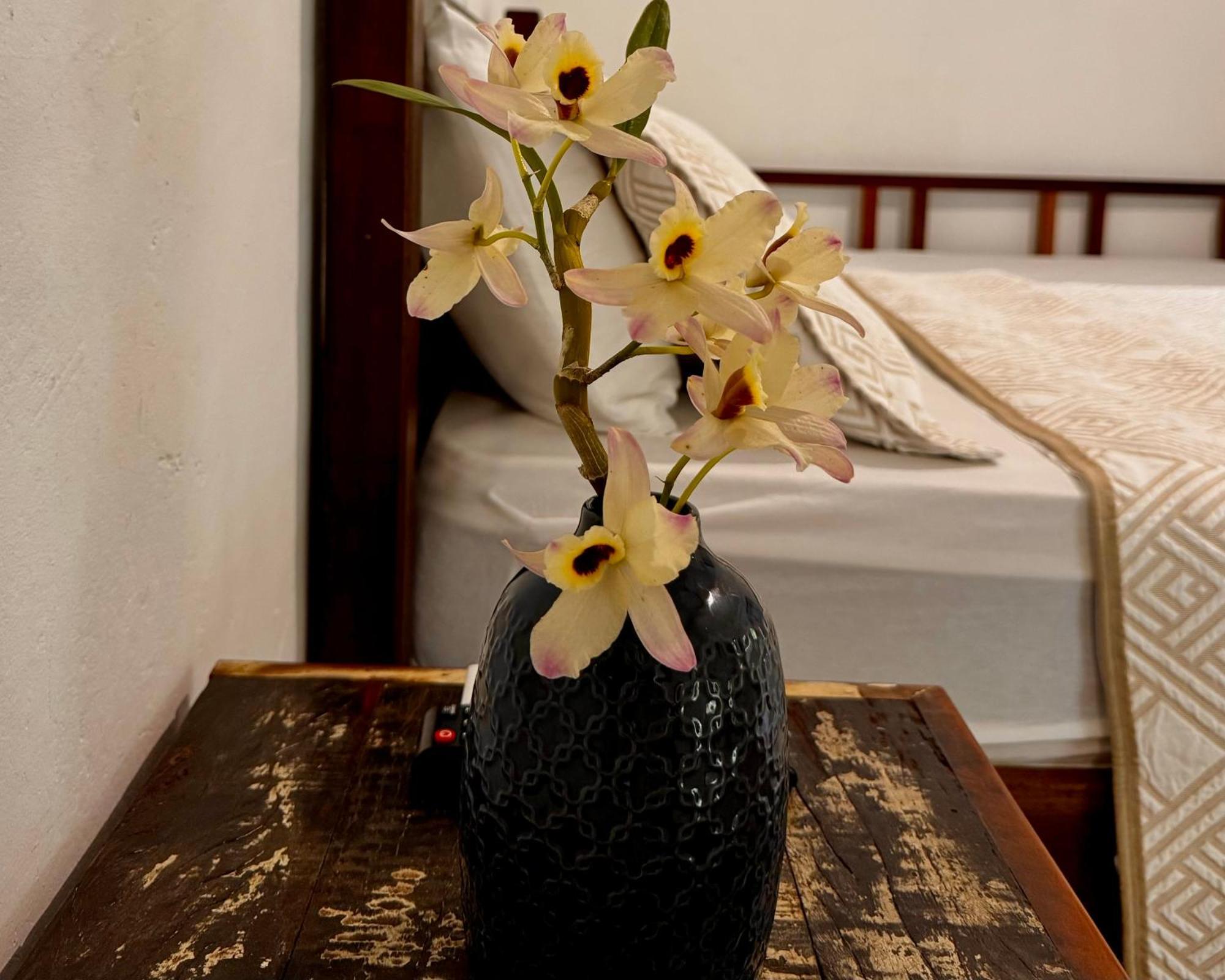 パラチ Casa Parkヴィラ 部屋 写真