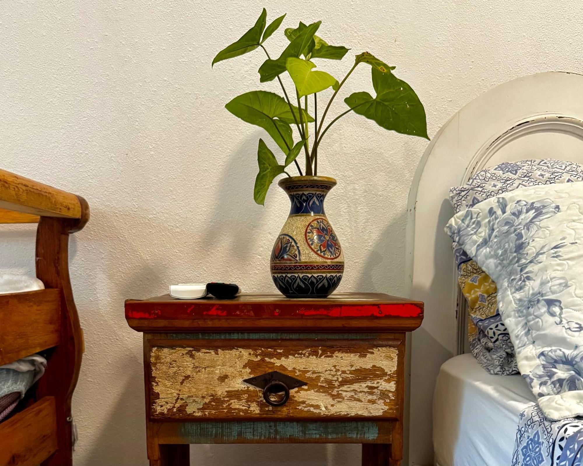 パラチ Casa Parkヴィラ 部屋 写真